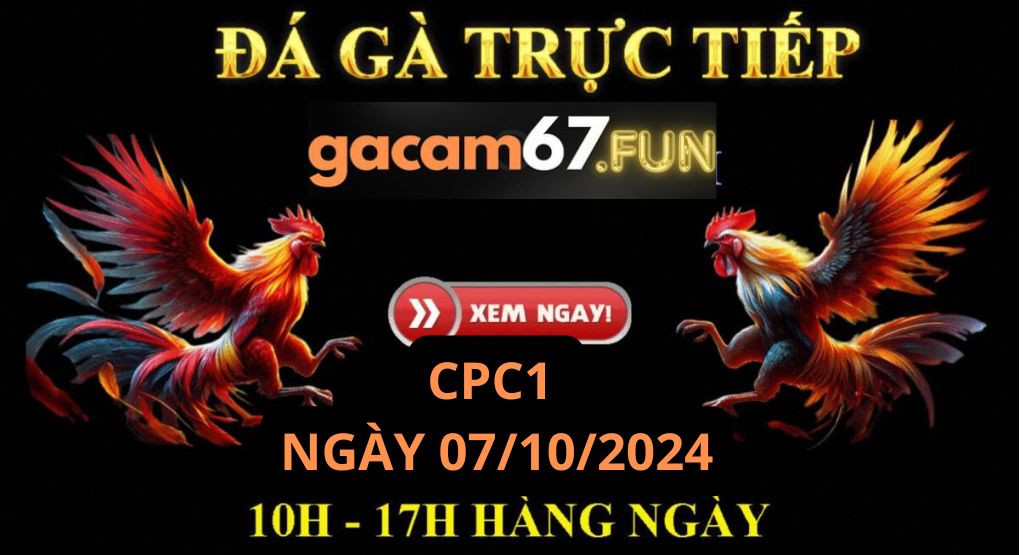 Gà Cam cpc1 ngày 7/10/2024