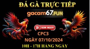 Đá gà CPC4 ngày 7/10/2024